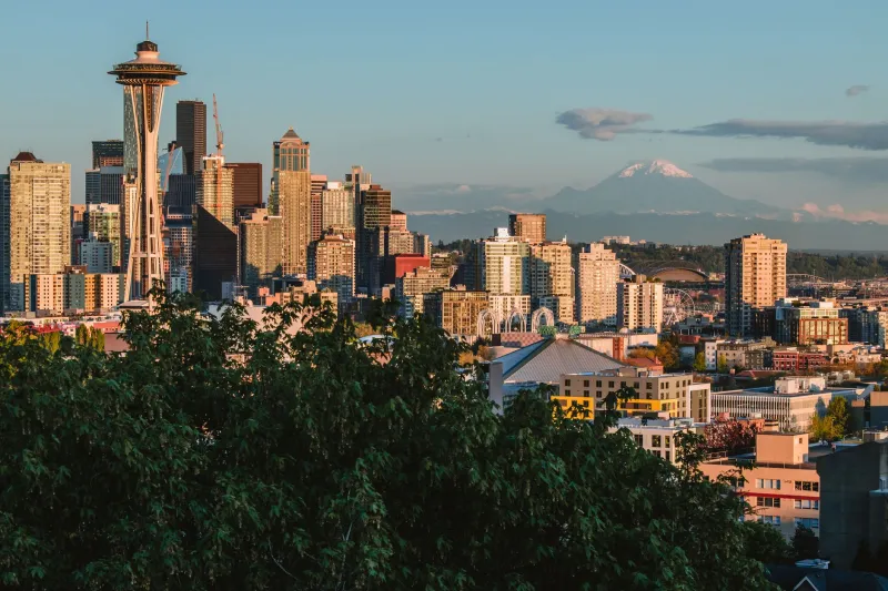 Adapting to the Territory: How Regional Culture Defines Professional Standards and Client Expectations Across the United States